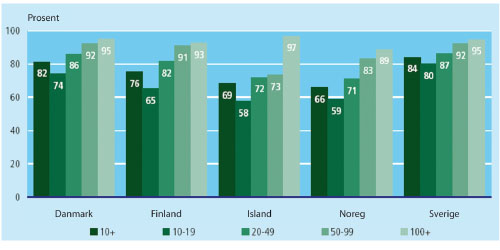 Figur 6.4 Prosentdel bedrifter med eiga Web-side.