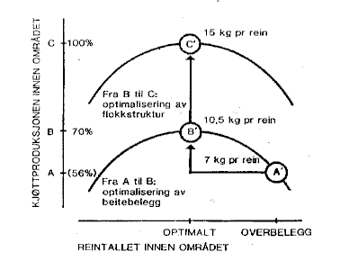 Figur 3.2 Prinsippskisse for kjøttproduksjonspotensialet. - pr. arealenhet og pr. rein i vårflokken. som resultat av beitebelegg og flokkstruktur.
