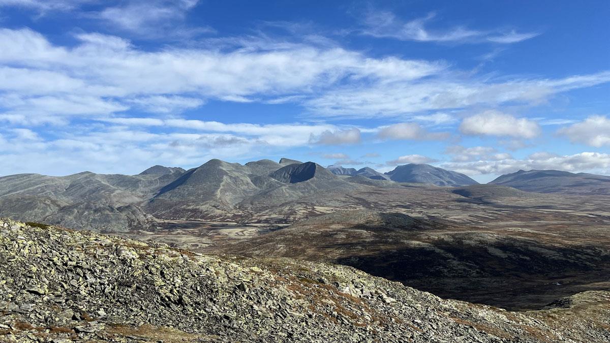 Foto: Kristin Gansmo Brennda, Norsk villreinsenter