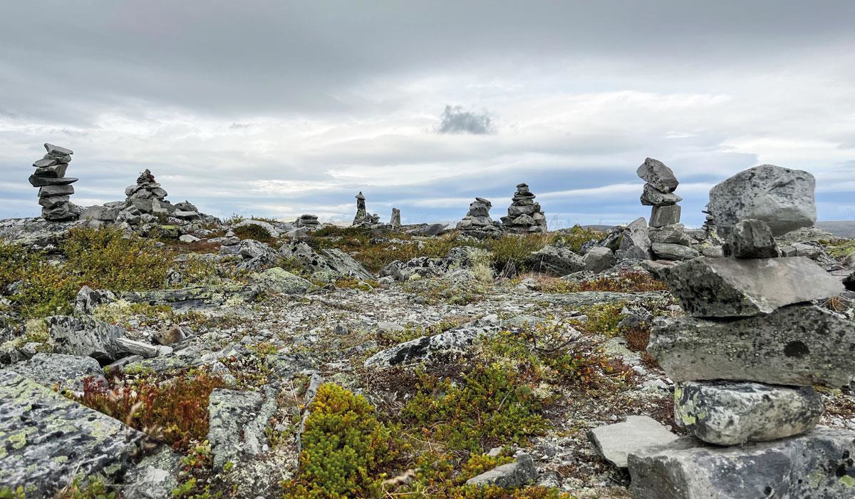 Foto: Kristin Gansmo Brennda, Norsk villreinsenter
