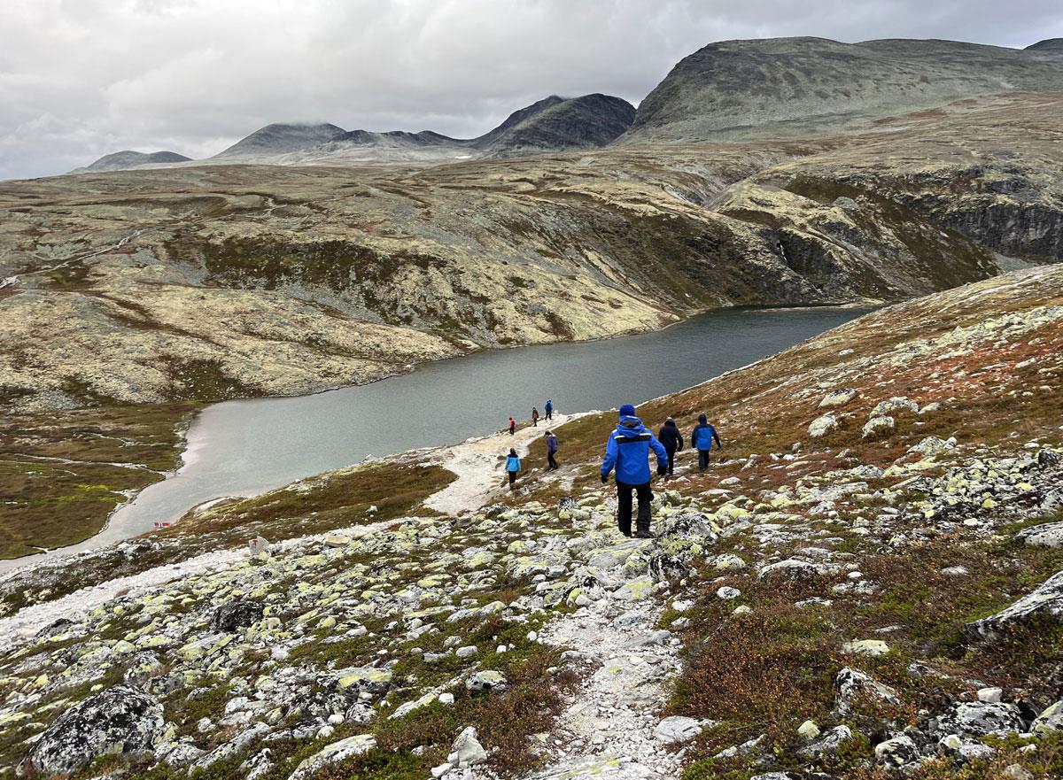 Foto: Kristin Gansmo Brennda, Norsk villreinsenter
