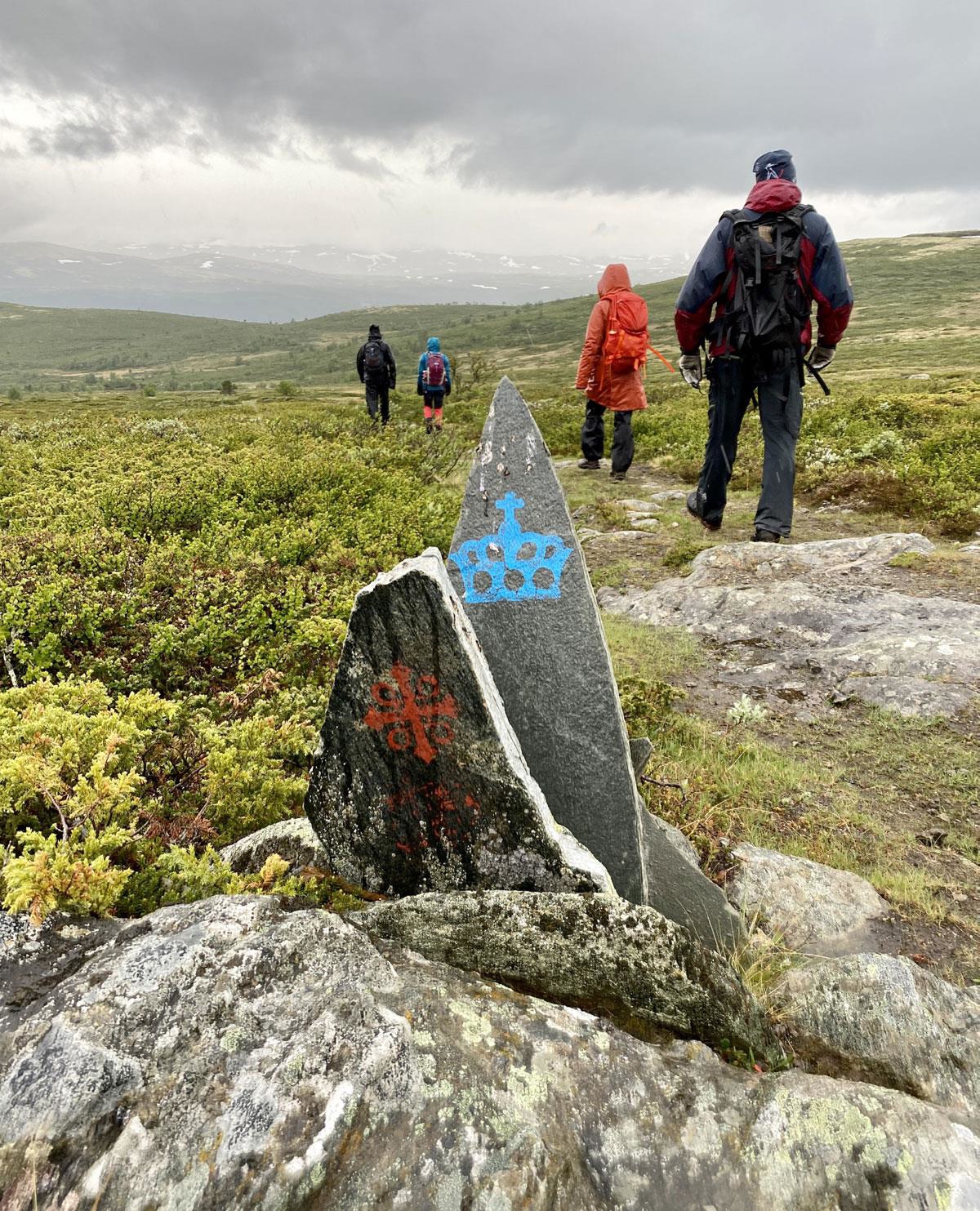 Foto: Martine Hårstad, Norsk villreinsenter