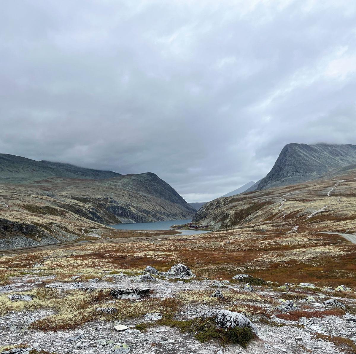 Foto: Martine Hårstad, Norsk villreinsenter