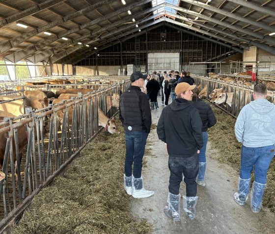 gardsbesøk i kufjøs