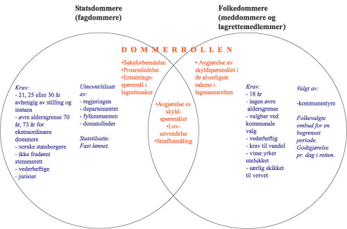 Figur 4.1 Forskjeller lekdommere – fagdommere.