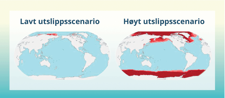Figur 3.4 Forventet global fordeling av havforsuring mot slutten av århundret.
