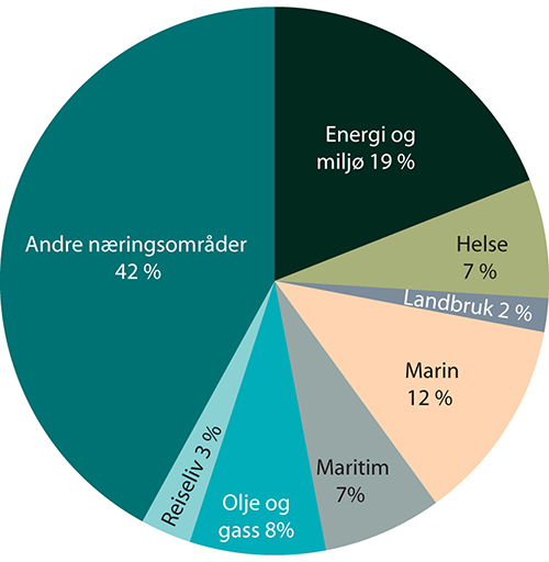 Figur 4.8 Tilsagn om tilskudd, innovasjonslån og garantier i 2019 over NFDs budsjett, fordelt på sektorer

