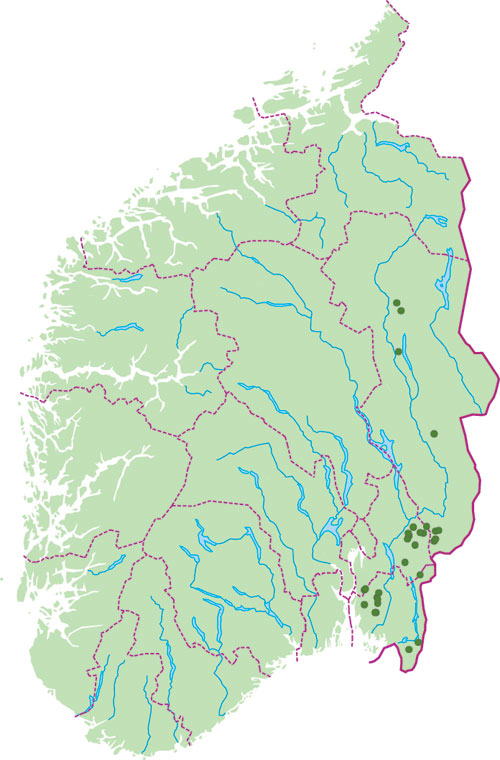 Figur 3.13 Hunder gjenfunnet og vurdert som dokumentert eller antatt drept
 av ulv i Sør-Norge i perioden 1999–oktober 2003.