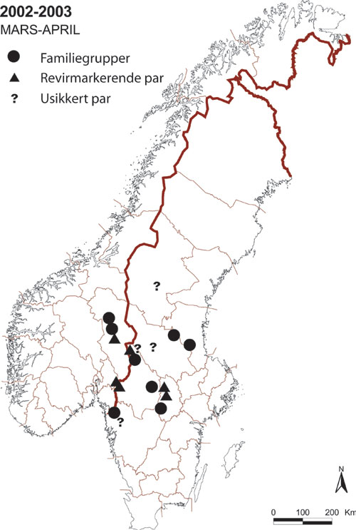 Figur 3.5 Utbredelsen av familiegrupper, revirmarkerende par eller to
 dyr sammen i Skandinavia ved sesongslutt for ulvesporing i mars–april 2003.