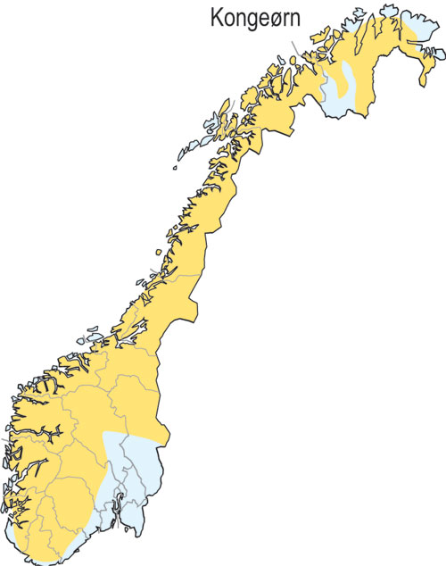 Figur 3.7 Hekkeutbredelse for kongeørn i Norge. Gul farge viser
 utbredelsen.