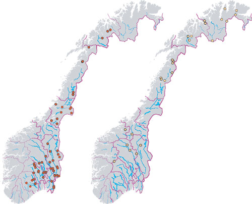 Figur 3.8 Røde plott viser gaupe felt i jaktsesongen 2003 (1.
 februar–30. april). Gule plott viser jerv felt i lisensjaktsesongen
 1. oktober 2002–15. februar 2003.