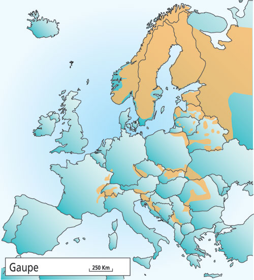 Figur 4.1 Utbredelsen av gaupe i Europa i 2001.