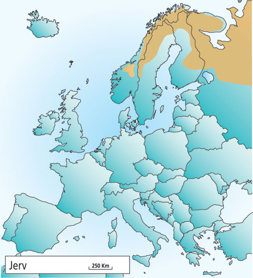 Figur 4.2 Utbredelsen av jerv i Europa i 2001.