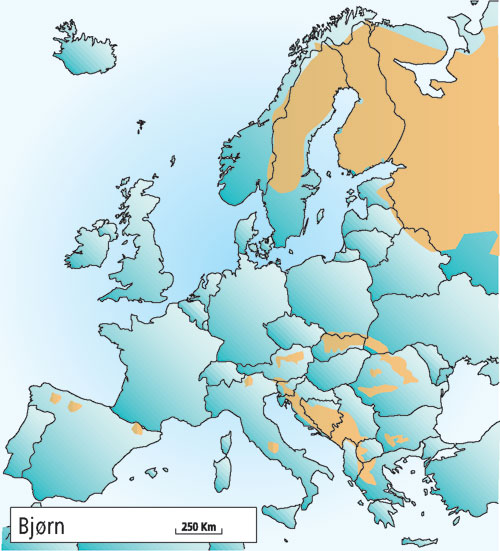 Figur 4.3 Utbredelsen av bjørn i Europa i 2001.