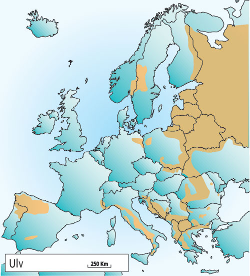 Figur 4.4 Utbredelsen av ulv i Europa i 2001.