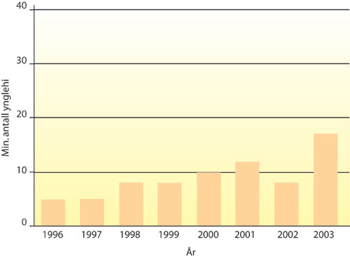 Figur 6.6 Minimum antall ynglinger av jerv i Sør-Norge i perioden
 1996–2003.