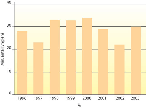 Figur 6.7 Minimum antall ynglinger av jerv i Nord-Norge i perioden 1996–2003.