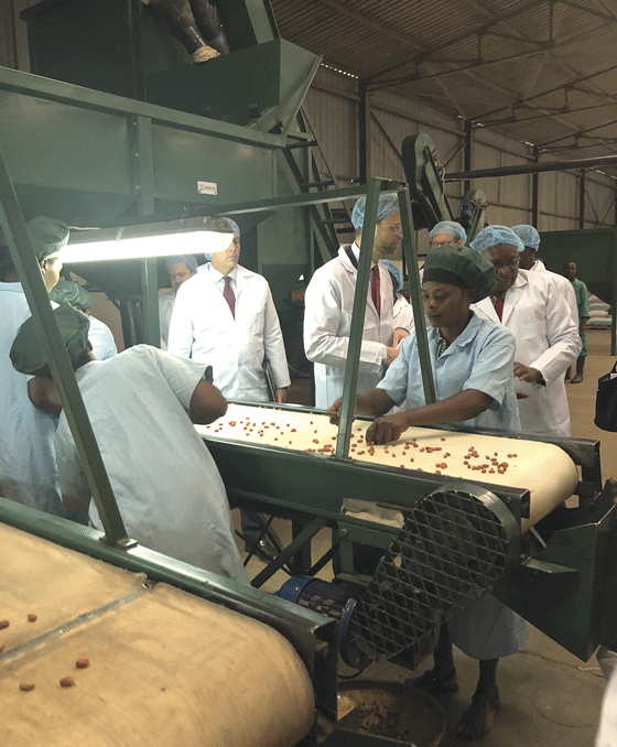 Figur 2.6 Småbondeorganisasjonen NASFAM hjelper bønder med å videreforedle jordbruksprodukter, her nøtter, for salg på malawisk og internasjonalt marked, april 2018.