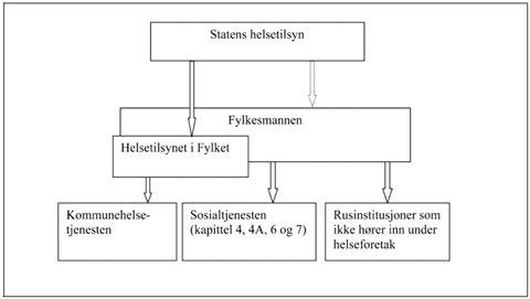 Figur 14.1 Skjematisk oversikt over tilsynet med den kommunale sosial-
 og helsetjenesten