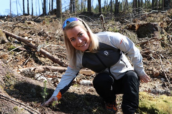 Landbruks- og matminister Sandra Borch planter skog.