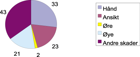 Figur 3-12 Personskader med fyrverkeri ved årtusenskiftet 1999-2000.