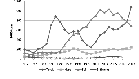 Figur 4.3 Gytebestand for bunnfisk nord for 62 grader nord, 1985–2009