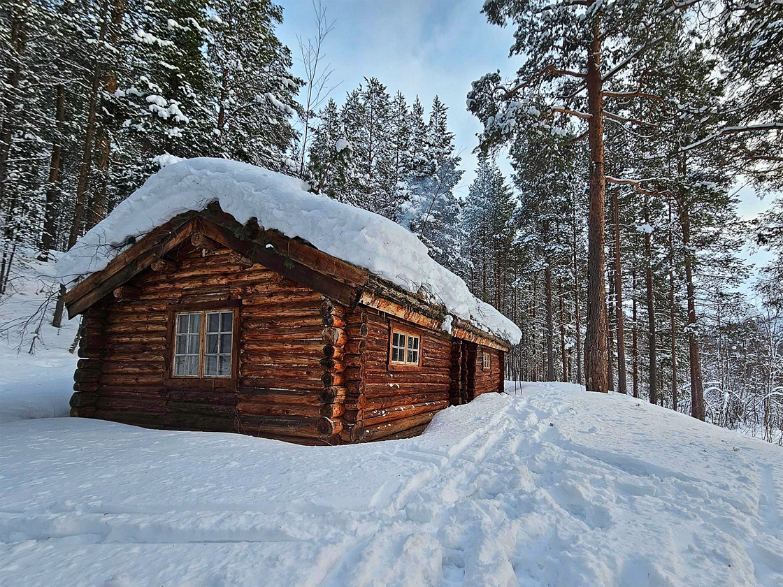 trehytte i snø