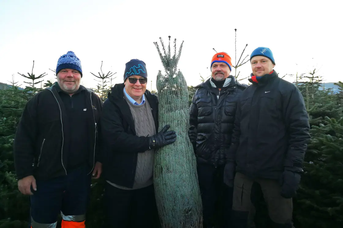 Fra venstre Arnt Stensholt i Vestfold juletre, Bård Hoksrud, Jarle Hillestad og Yrjan Elias Fevang i Vestfold juletre.