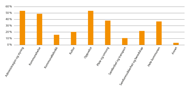 Figur 4.2 Statsforvalternes prosjektskjønnsmidler. Prosjekter fordelt på sektorer.1