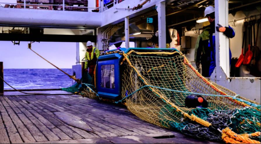 Et bilde som inneholder utendørs

Automatisk generert beskrivelse