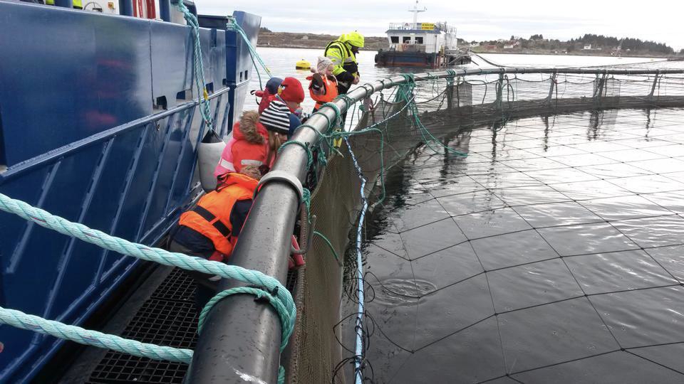 Et bilde som inneholder utendørs

Automatisk generert beskrivelse