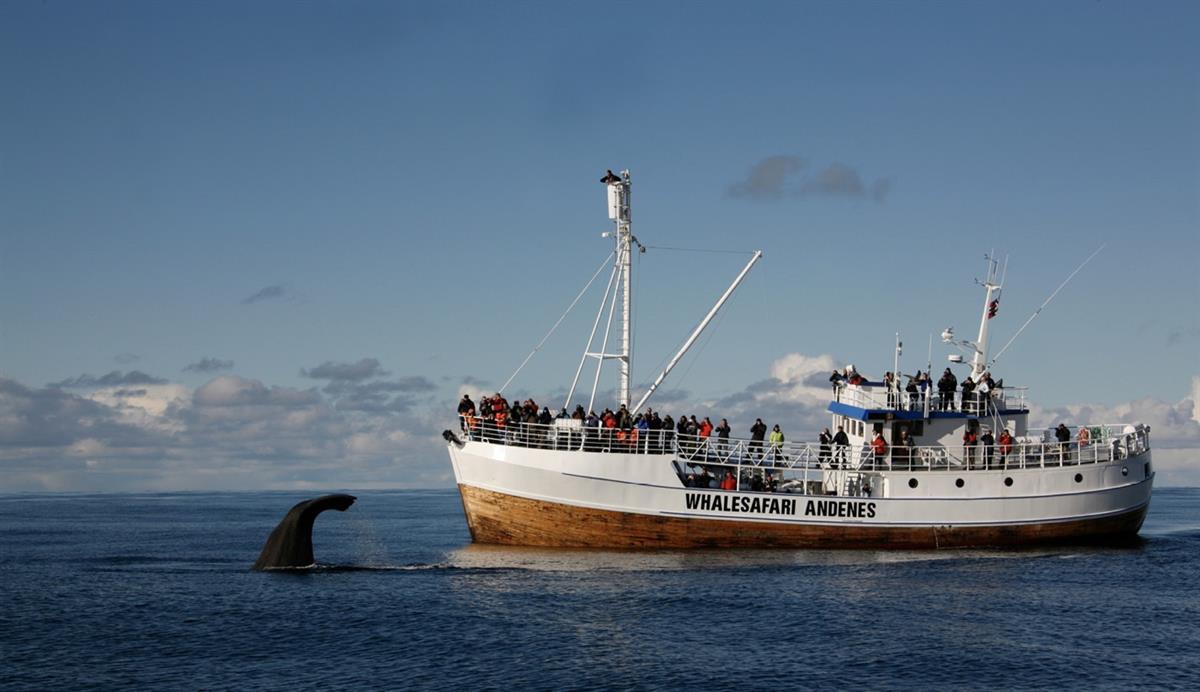 Et bilde som inneholder himmel, båt, vann, utendørs

Automatisk generert beskrivelse