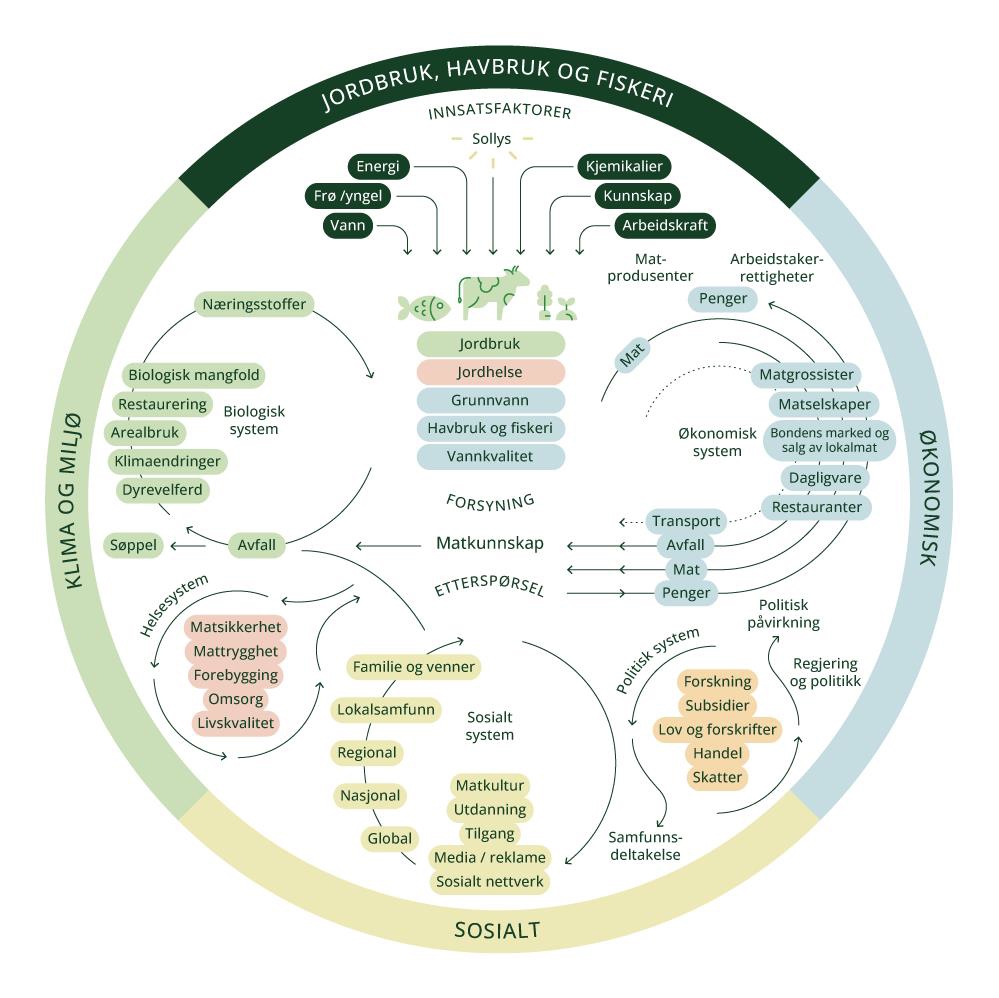 Visualisering av sammenhenger i matsystemet