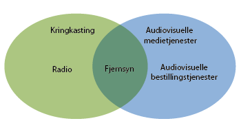 Figur 5.1 Oversikt over sentrale begreper