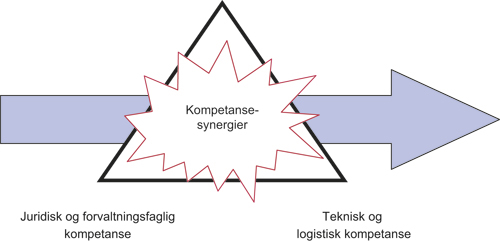Figur 15.1 Pedagogisk og hab-/rehabfaglig kompetanse