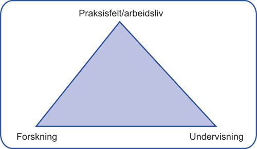 Figur 15.2 Sentrale aktører i samarbeidet rundt forskningsbasert
 undervisning