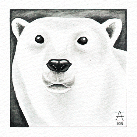 Figur 6.1 Isbjørn 
(Ursus maritimus) er beskyttet gjennom en egen internasjonal avtale og nasjonalt gjennom lov om fangst av isbjørn og Svalbards viltforskrift. Når ny miljøvernlov for Svalbard trer i kraft vil isbjørnen bli forvaltet etter denne loven. Akvar...