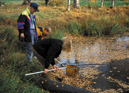Figur 7.4 Ungdomskoleelever undersøker gårdsdam i Ullensaker som del av naturfagundervisninga. Foto Øystein Søbye/NN/Samfoto.
