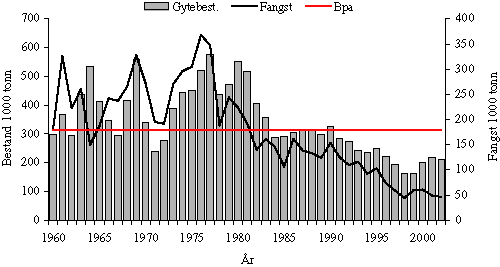 Figur 4.13 Gytebestand og fangst av kviting i Nordsjøen og Kanalen.