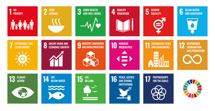 Figure 5.1 The United Nations’ 17 Sustainable Development Goals.