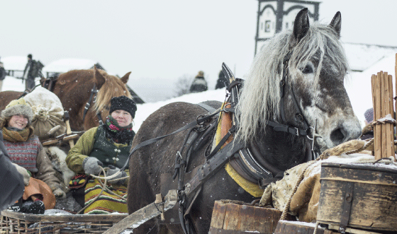 Figure 8.1 Horse-drawn sleighs arriving in Røros – the Dalarna Femund Drivers Association.