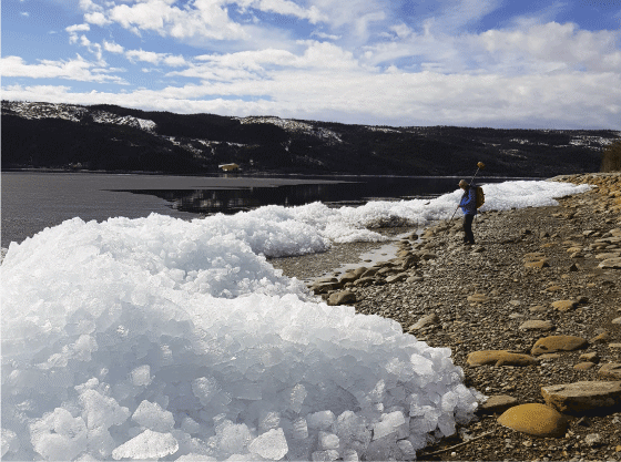 Figur 10.2 Innmåling av steiner med helleristninger langs bredden av Selbusjøen i Trøndelag. 
