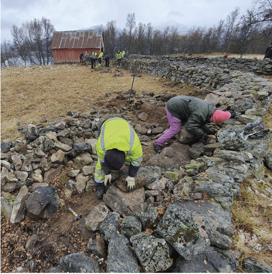 Figur 8.2 Mobilisering lokalt. 
