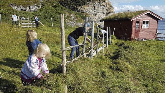 Figur 9.8 Stort engasjement på den årlige slåttedagen i Gåradak i Porsanger.
