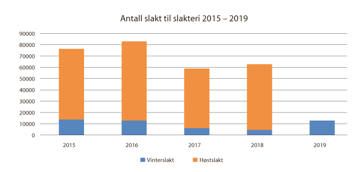 Figur 4.2 Antall slakt til slakteri 2015–2019
