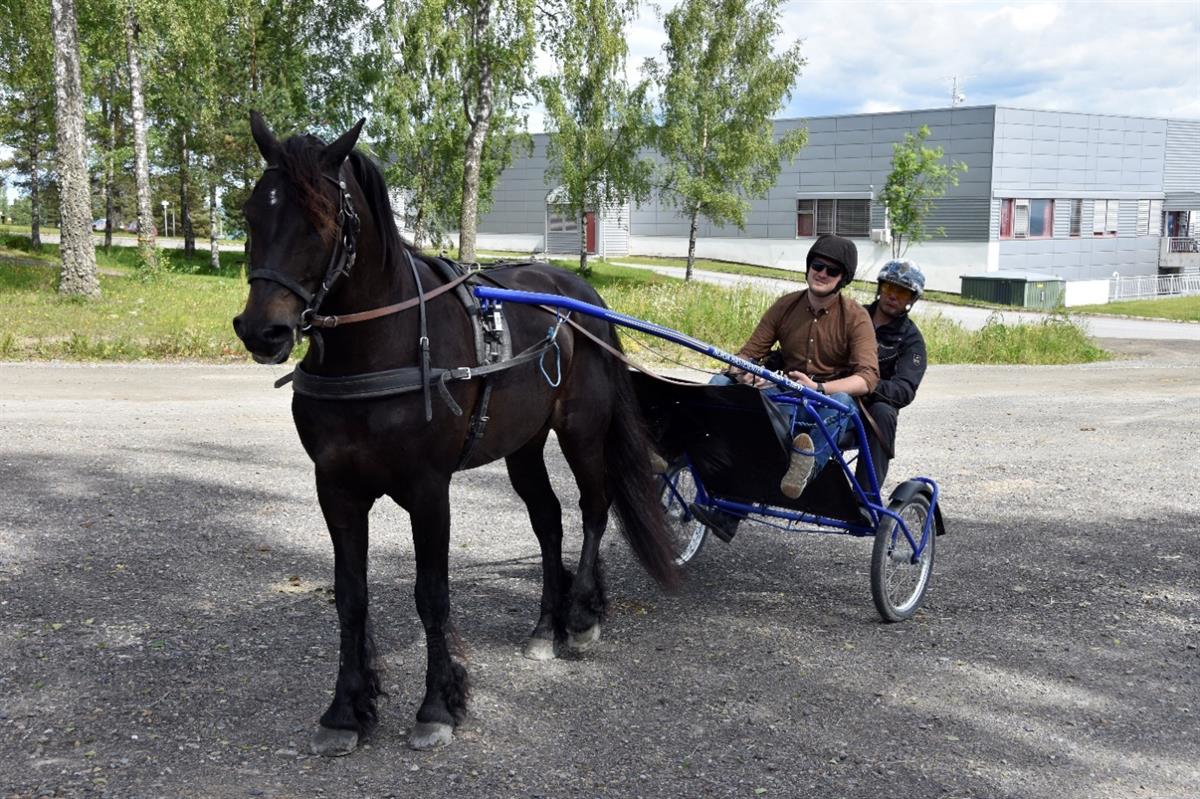 M:\Bildearkiv\0 Pol Ledelse på reise mm\1 Jon Georg Dale\2017\170620 - JGD besøker Norsk Hestesenter for å informere om kommende veileder for hestehold\_DSC3724.JPG