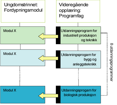 Figur 12.2 Illustrasjon av forholdet mellom fordypningsmodul på ungdomstrinnet og programfag i videregående trinn 1.