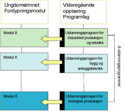 Figur 12.2 Illustrasjon av forholdet mellom fordypningsmodul på ungdomstrinnet og programfag i videregående trinn 1.