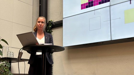 Prosjektleder Anette Ødegård i NVE