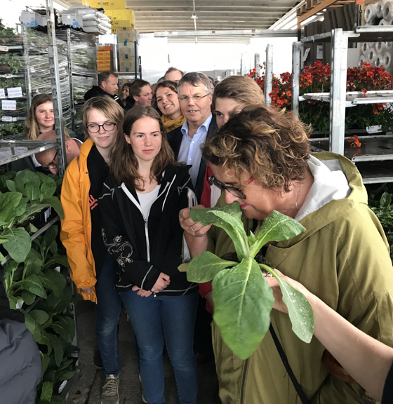 Bollestad og elevane